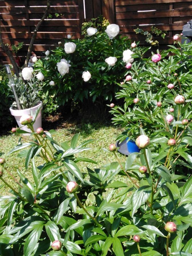 Ferienwohnung Mit Kleinem Garten Sonnenbühl المظهر الخارجي الصورة