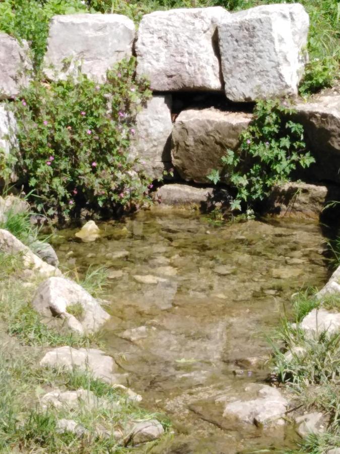 Ferienwohnung Mit Kleinem Garten Sonnenbühl المظهر الخارجي الصورة