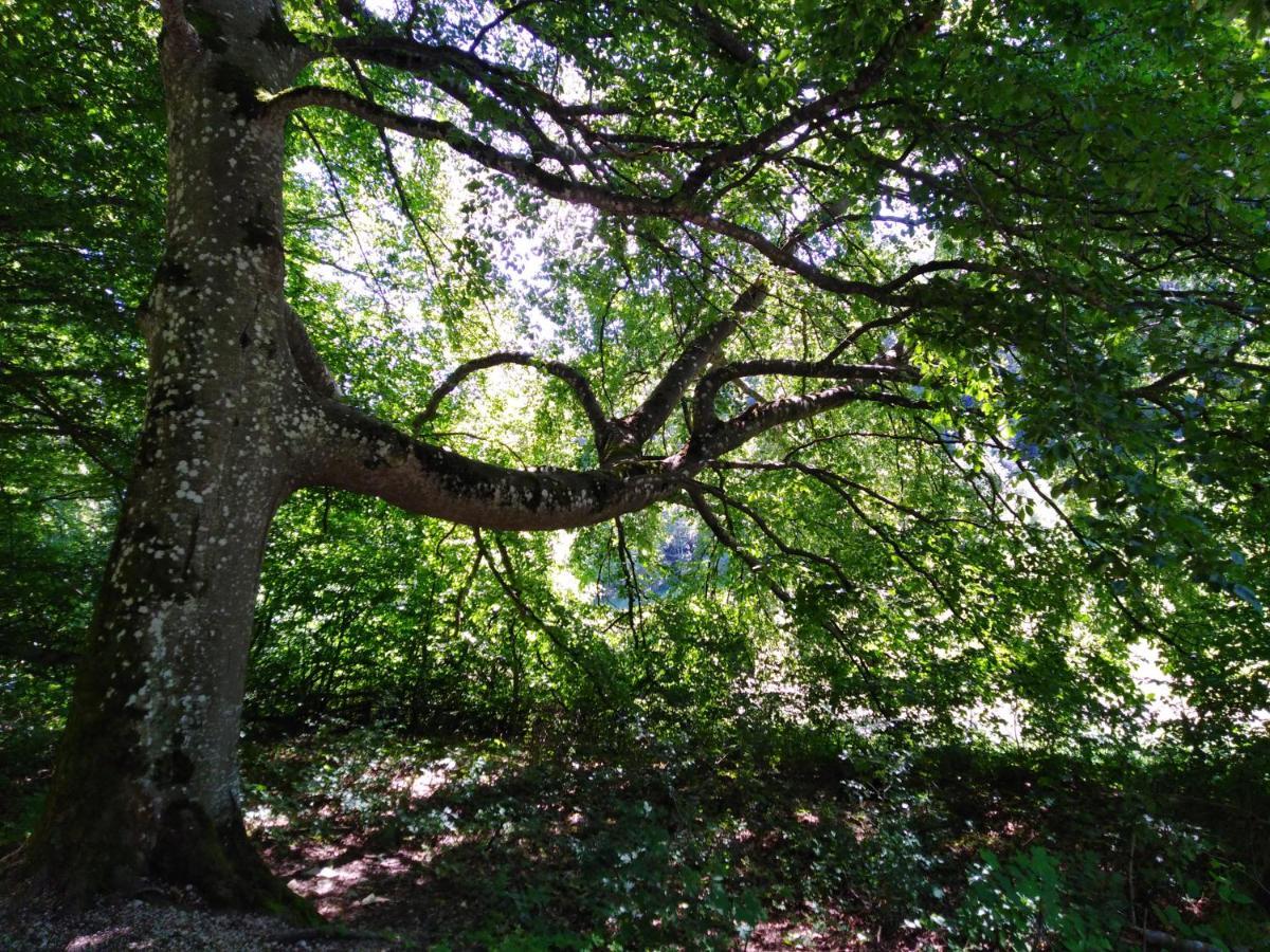 Ferienwohnung Mit Kleinem Garten Sonnenbühl المظهر الخارجي الصورة