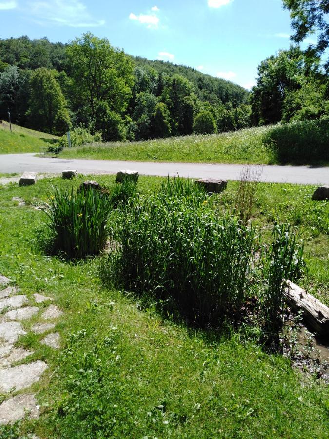 Ferienwohnung Mit Kleinem Garten Sonnenbühl المظهر الخارجي الصورة